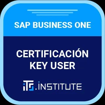 Insignia Certificación