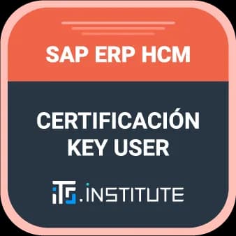 Insignia Certificación